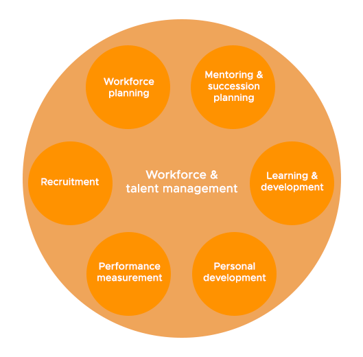 Diagram of ITIL 4 Workforce and Talent Management Components