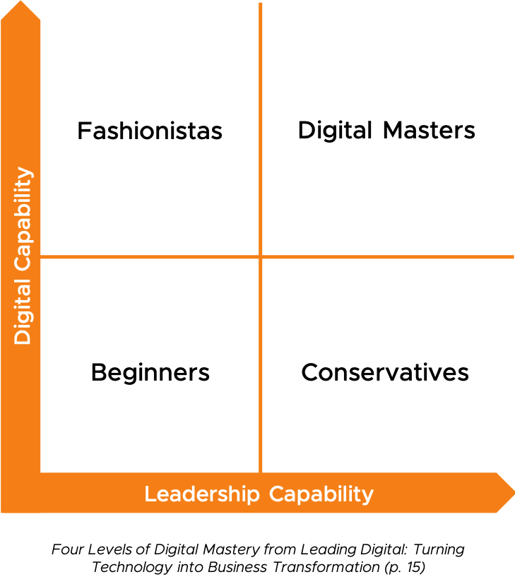 Diagram of the Four Levels of Digital Mastery